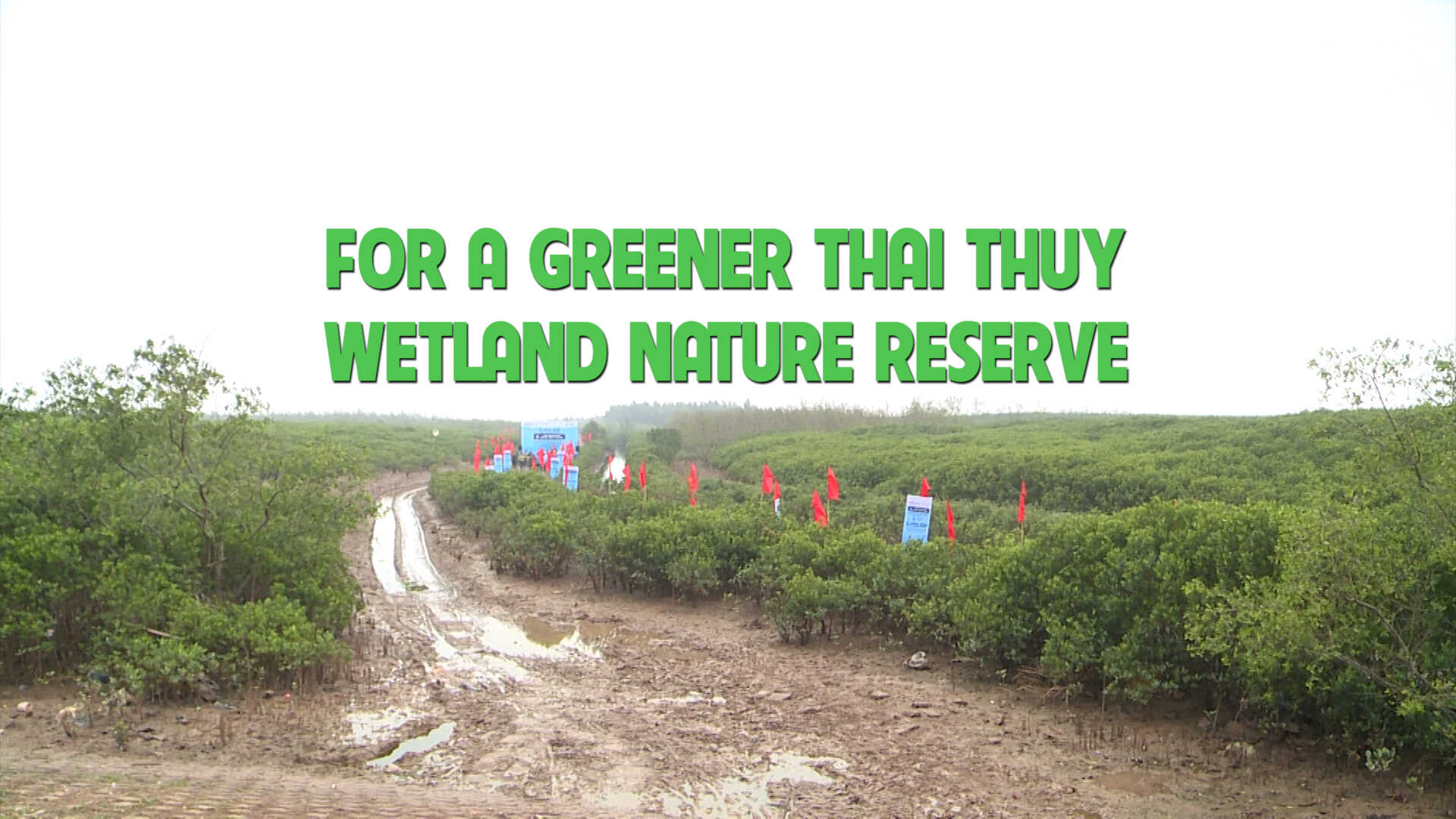 For a greener Thai Thuy wetland nature reserve
